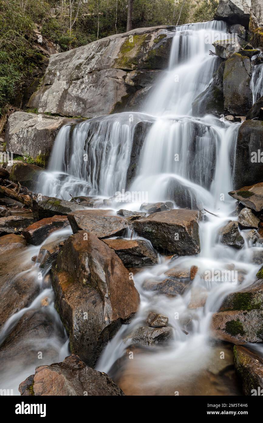 TN00112-00....Tennessee -Laurel Falls dans le parc national des Great Smoky Mountains. Banque D'Images