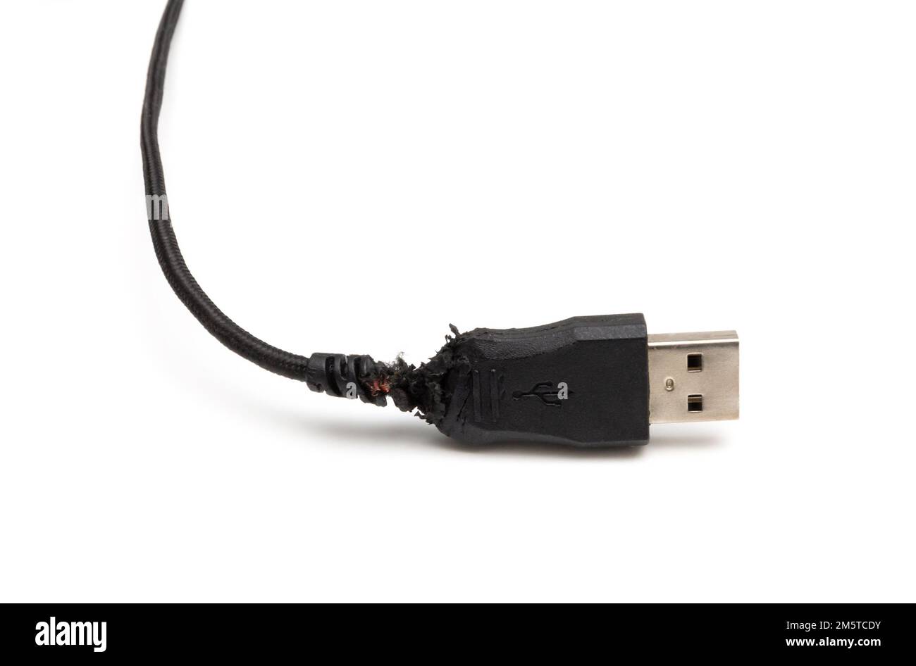 Câble usb noir endommagé rongé et mâché par un chien, vue rapprochée Banque D'Images Câble usb noir endommagé rongé et mâché par un chien, vue rapprochée Banque D'Images