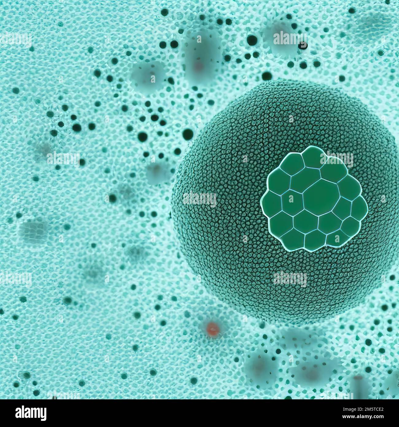 Résumé cellule pathogène du virus, cellule cancéreuse au microscope, tumeur maligne, illustration numérique Banque D'Images