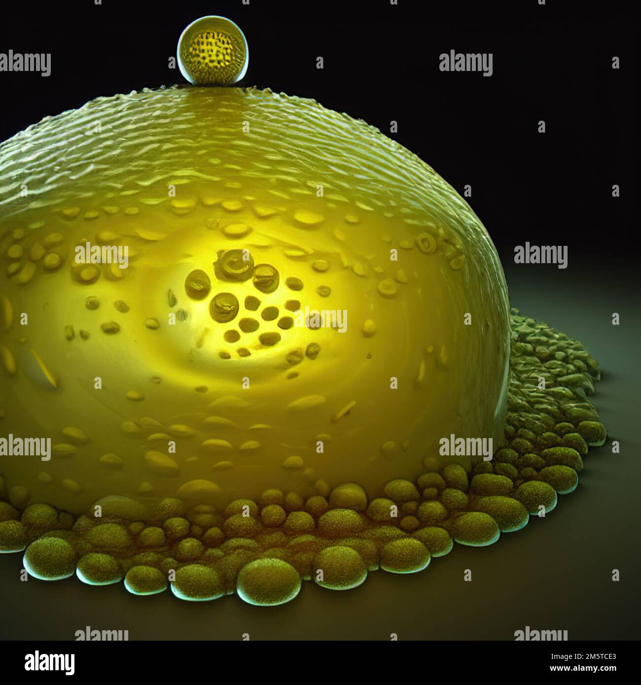 Résumé cellule pathogène du virus, cellule cancéreuse au microscope, tumeur maligne, illustration numérique Banque D'Images