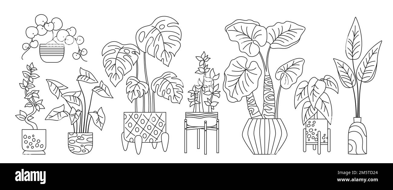 Maison en pot plante, décor de cadre de doodle. Pot à fleurs exotiques pour l'intérieur. Maison botanique d'intérieur plantes en fleurs en pot, céramique en pot linéaire. Vecteur d'esquisse de jungle isolé Illustration de Vecteur