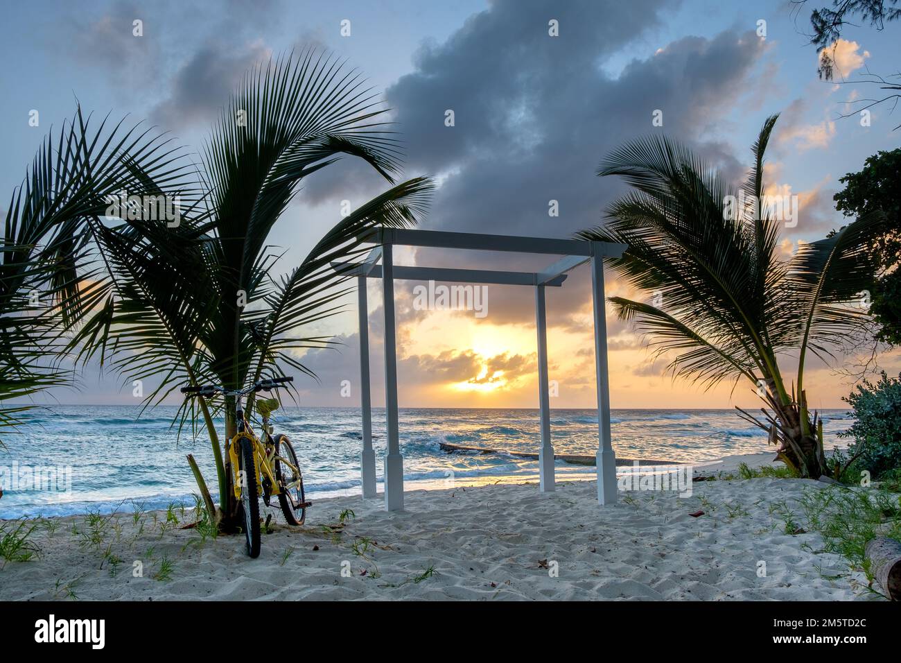 Beau coucher de soleil à la Barbade - palmiers, plage et l'océan Banque D'Images