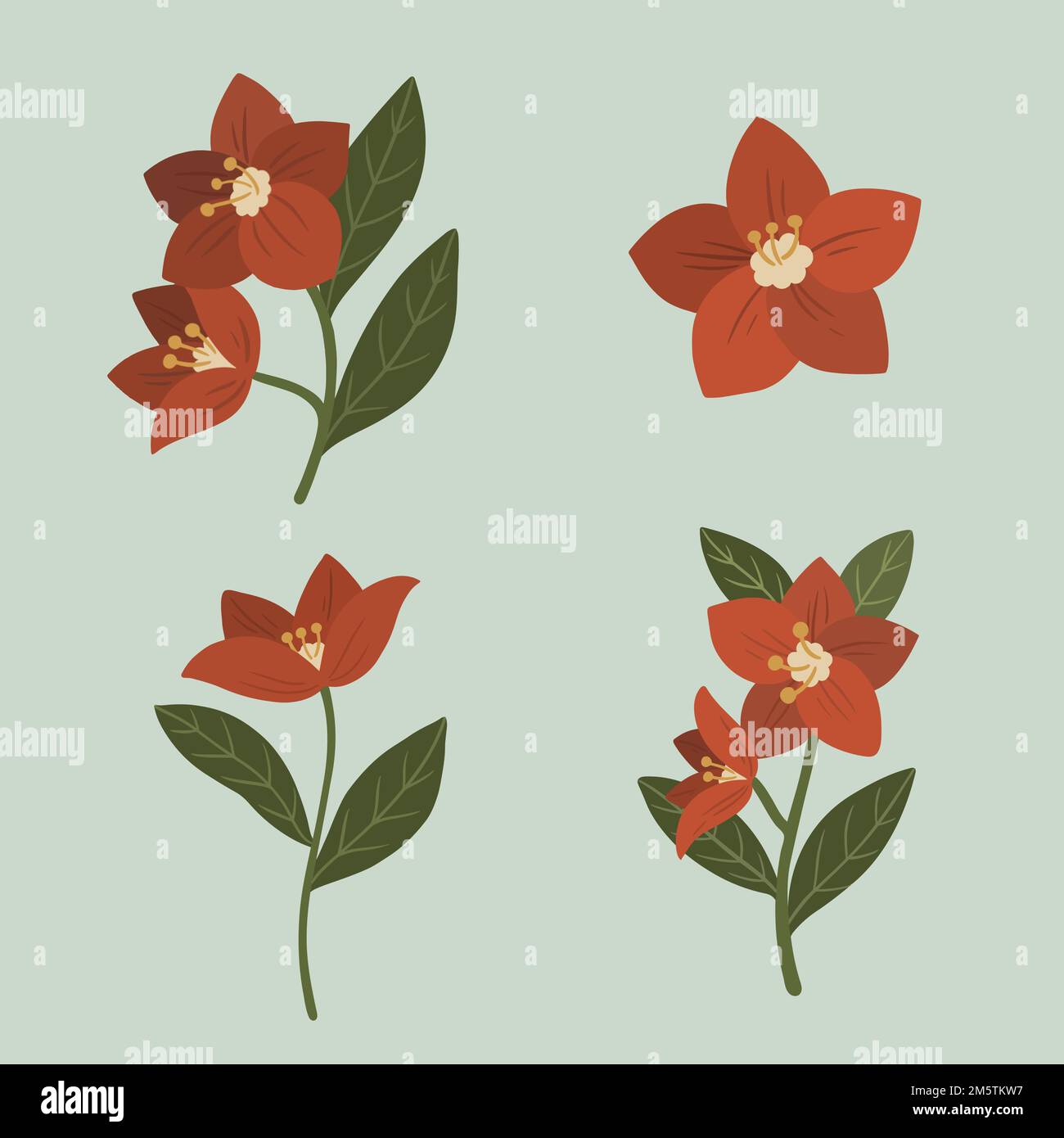 Vecteur de modèle d'annonces sociales de fleurs botaniques rouges Illustration de Vecteur