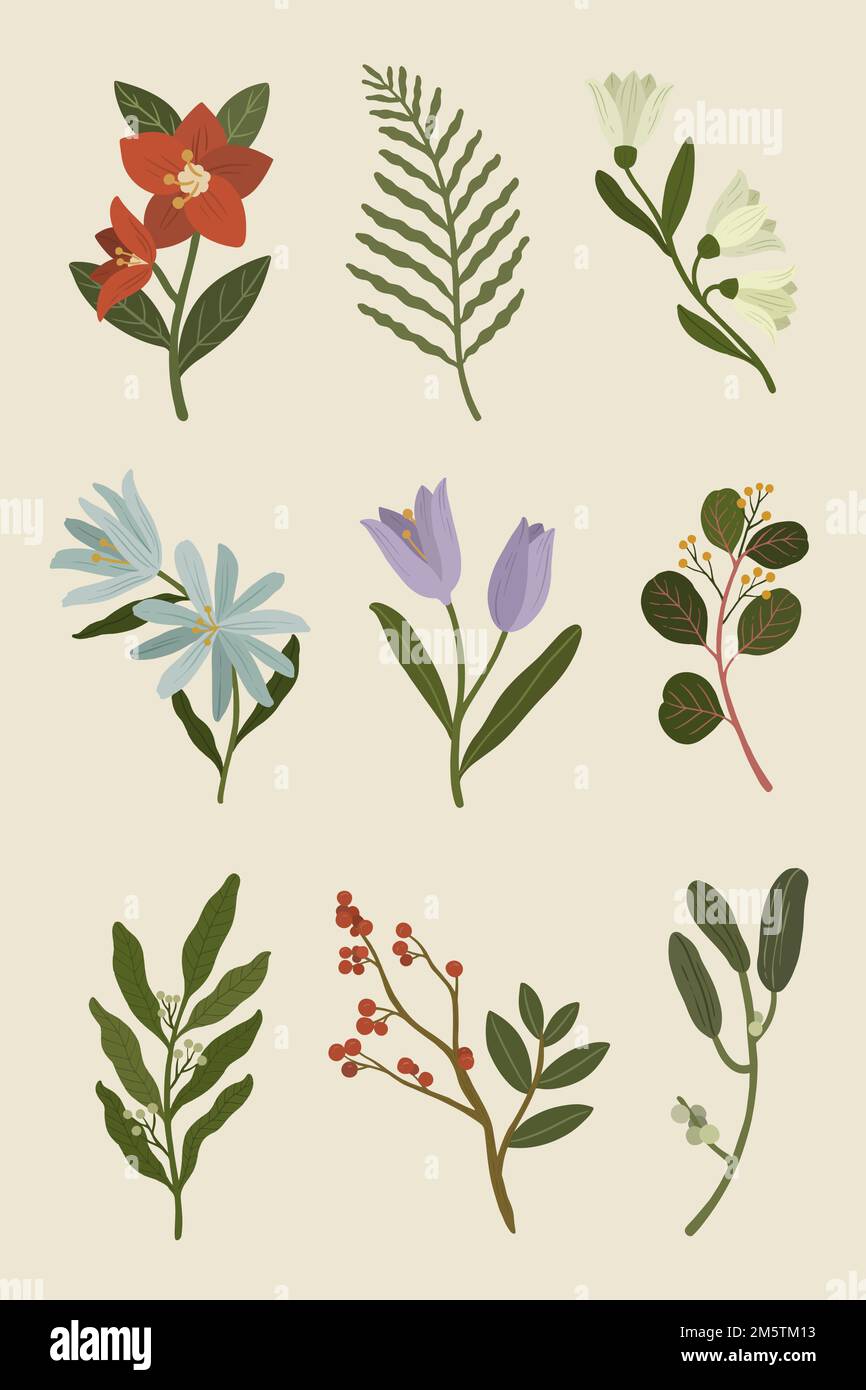 Des plantes hivernales sur un fond de téléphone beige vecteur Illustration de Vecteur