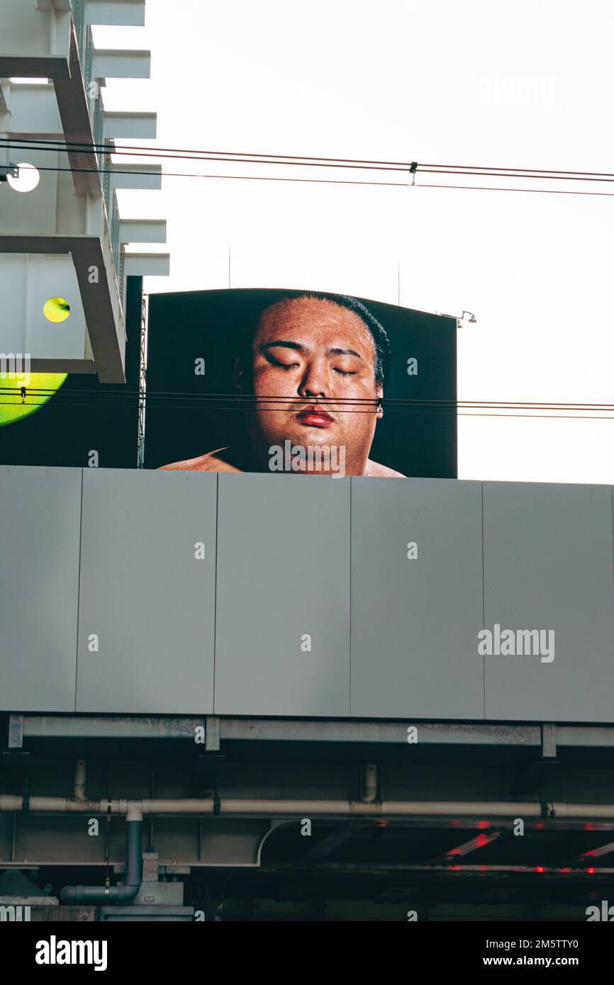 Une photo d'un lutteur sumo sur un panneau d'affichage dans la ville Banque D'Images Une photo d'un lutteur sumo sur un panneau d'affichage dans la ville Banque D'Images