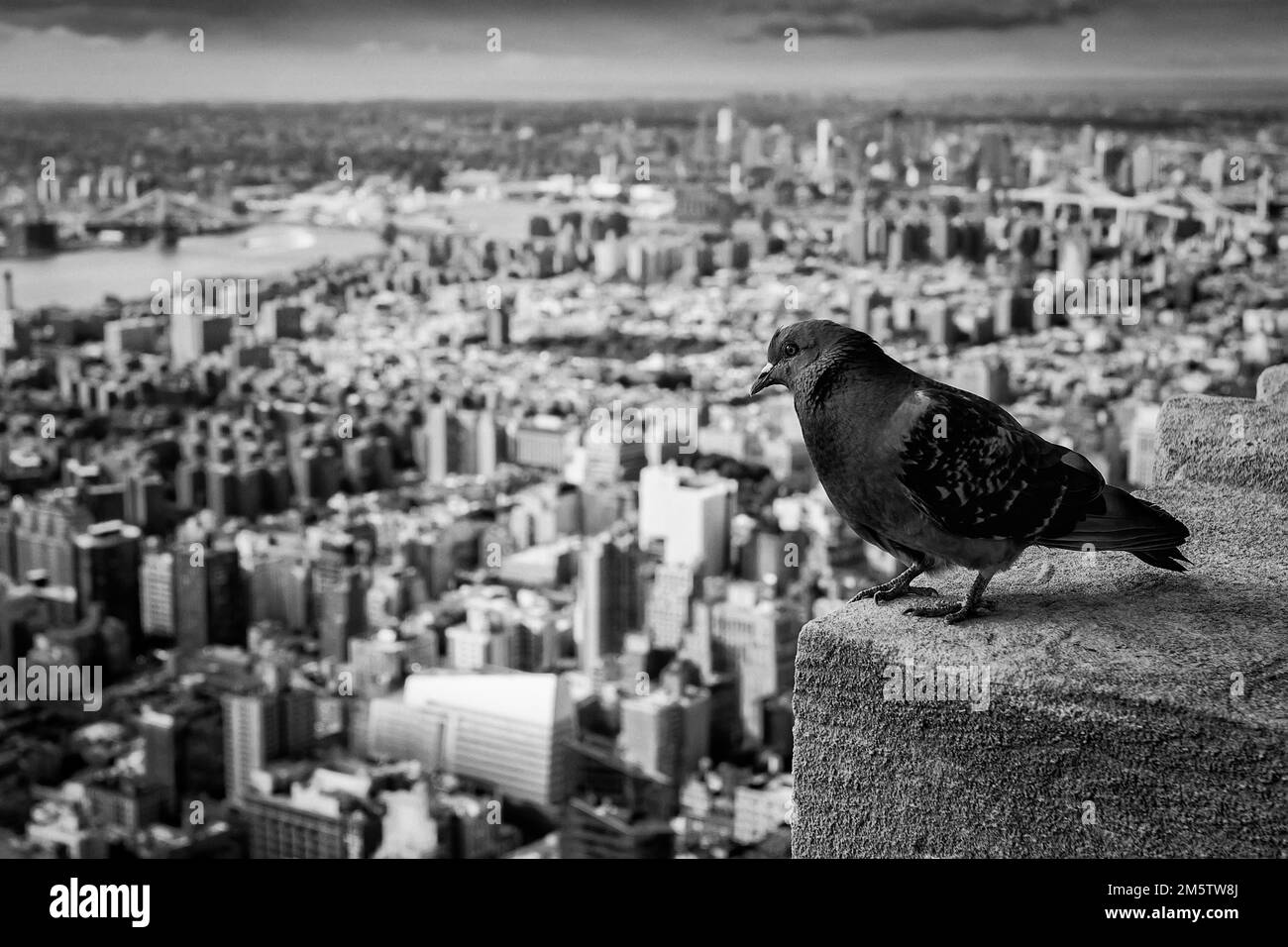 Empire State Building Banque D'Images