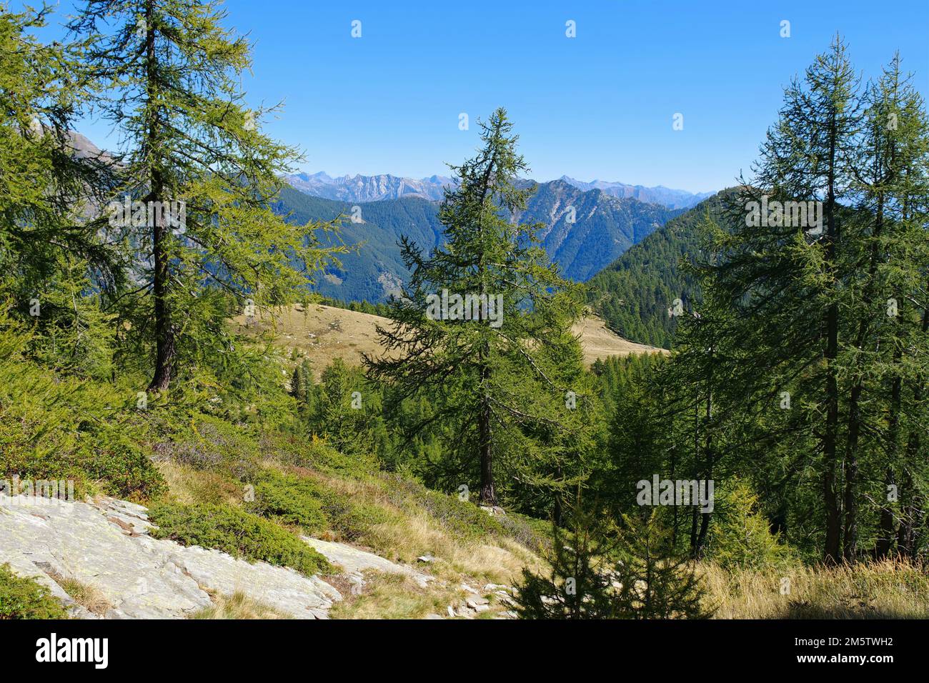 Paysage de montagne, Alpe Salei dans la vallée de l'Onsernoe, Tessin en Suisse Banque D'Images