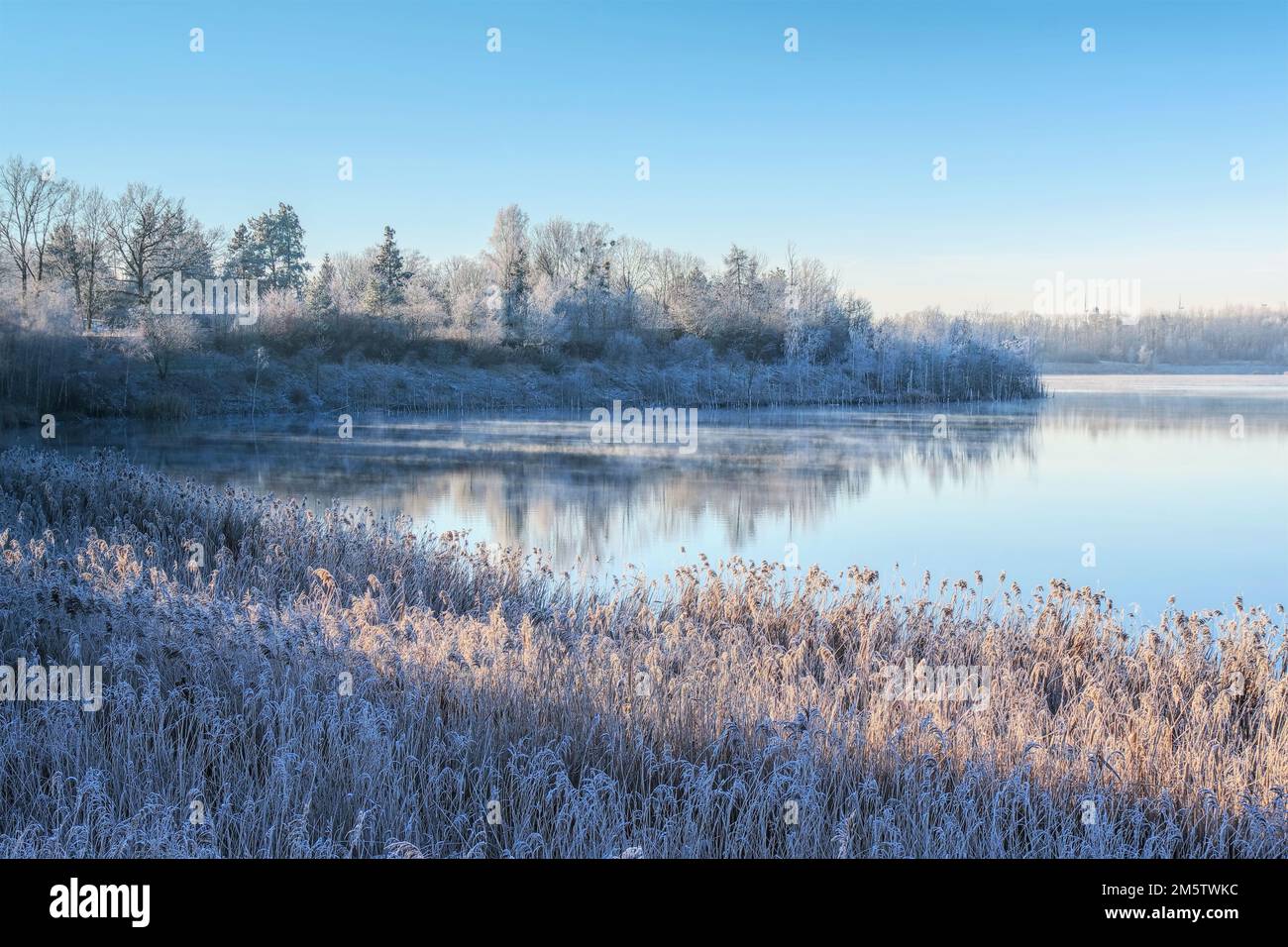 Lac Drochow dans le district du lac Lusatien en hiver, Allemagne Banque D'Images