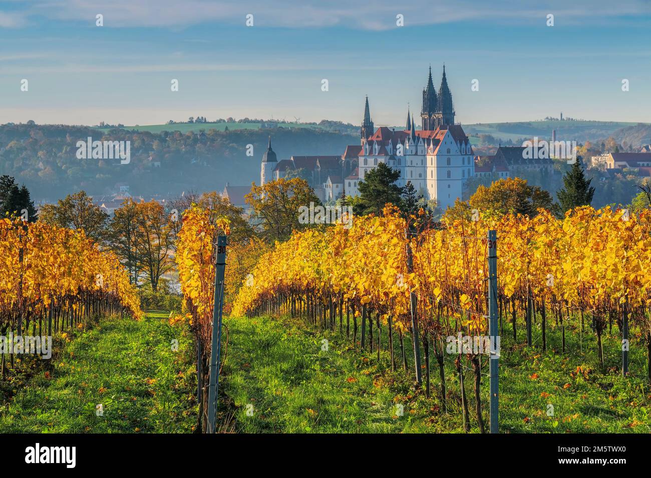 Vue sur les vignobles d'automne de la ville de Meissen en Saxe, Allemagne Banque D'Images