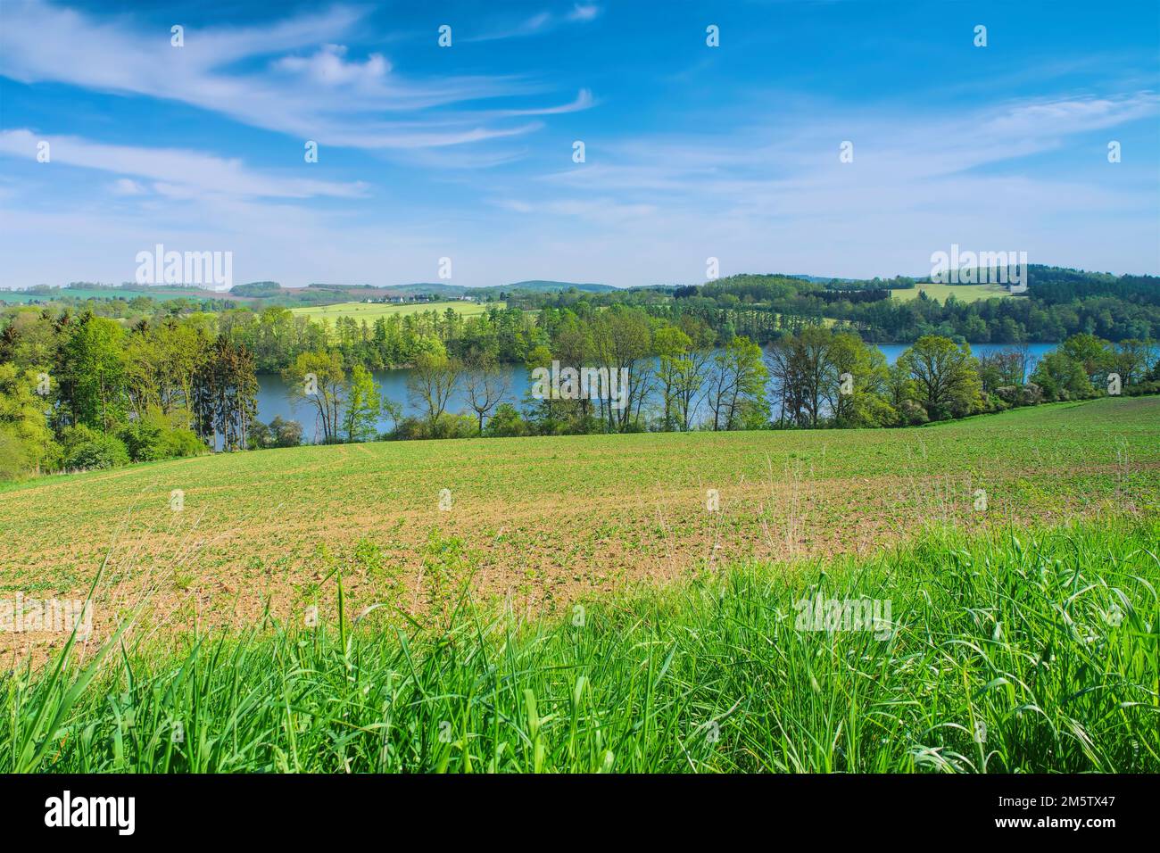 Le lac Pirk à Vogtland avec champ au printemps, Allemagne Banque D'Images