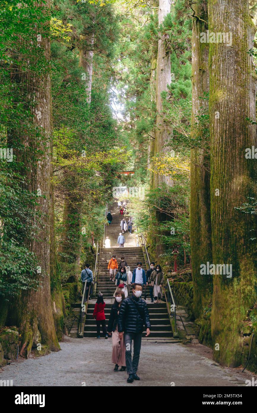 Un escalier dans la forêt aux temples de Hakone Banque D'Images