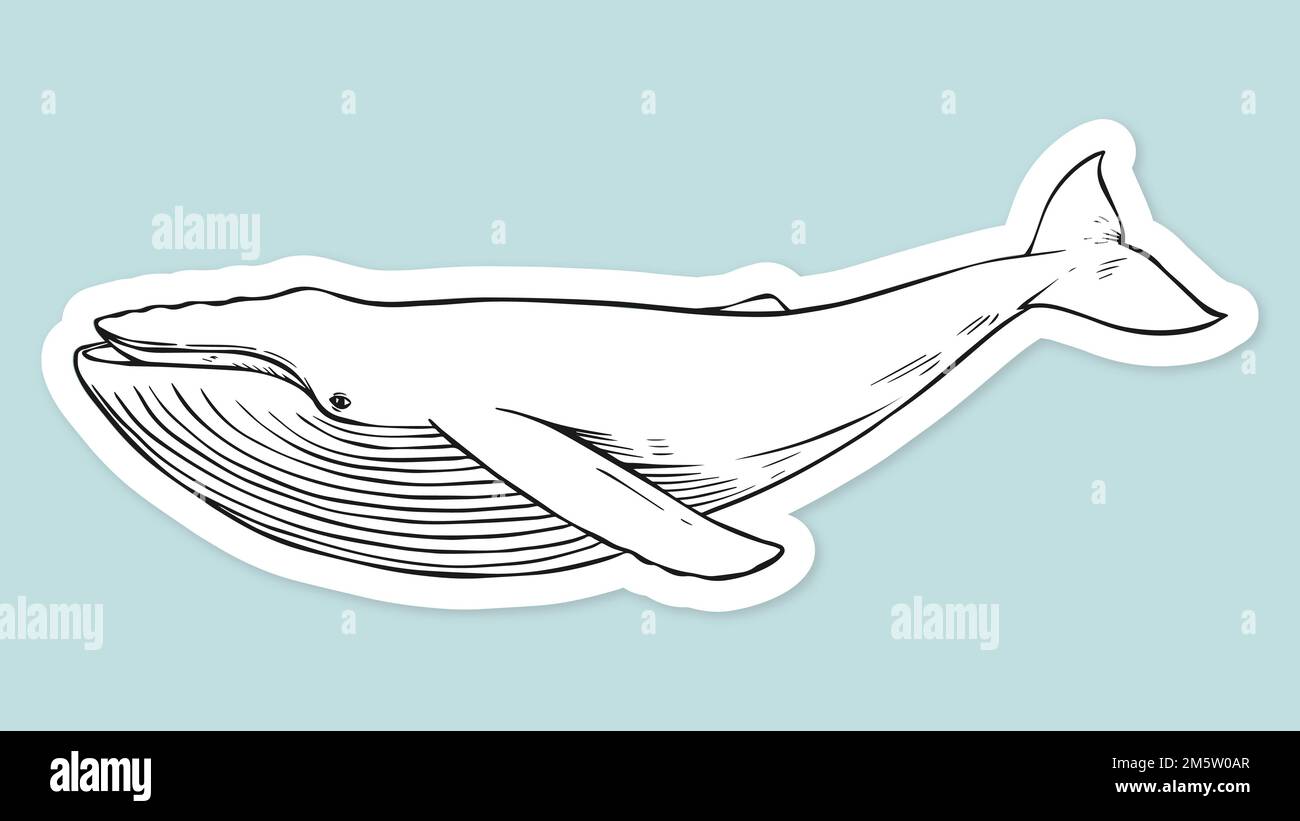 Motif baleine vectoriel vintage noir et blanc clipart Illustration de Vecteur