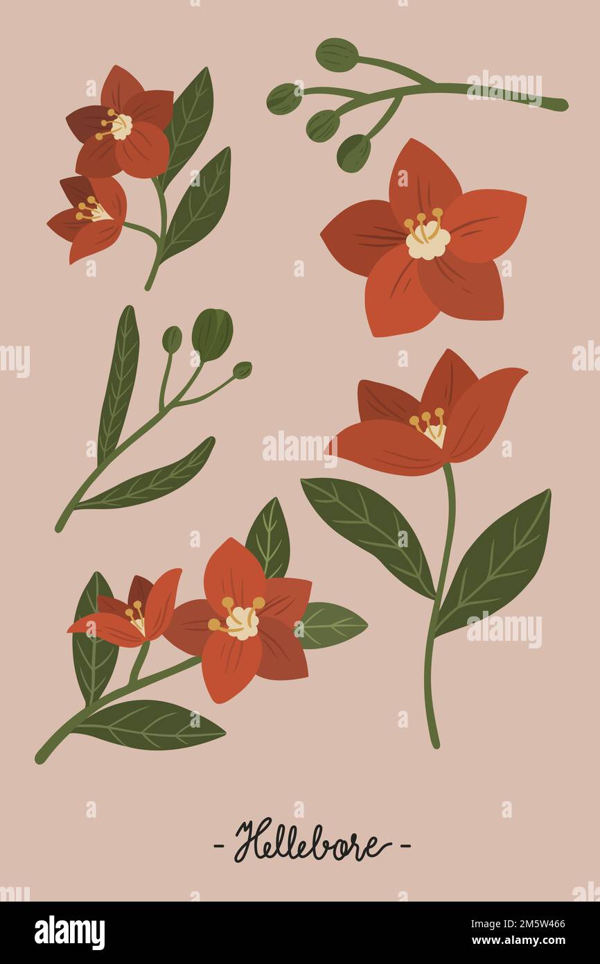 Botanique rouge sur fond rose vecteur Illustration de Vecteur