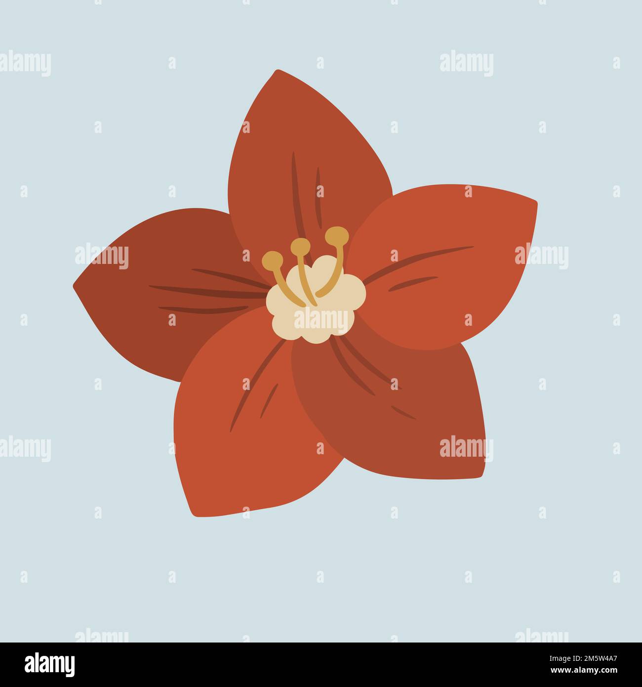 Vecteur de modèle d'annonces sociales de fleurs botaniques rouges Illustration de Vecteur