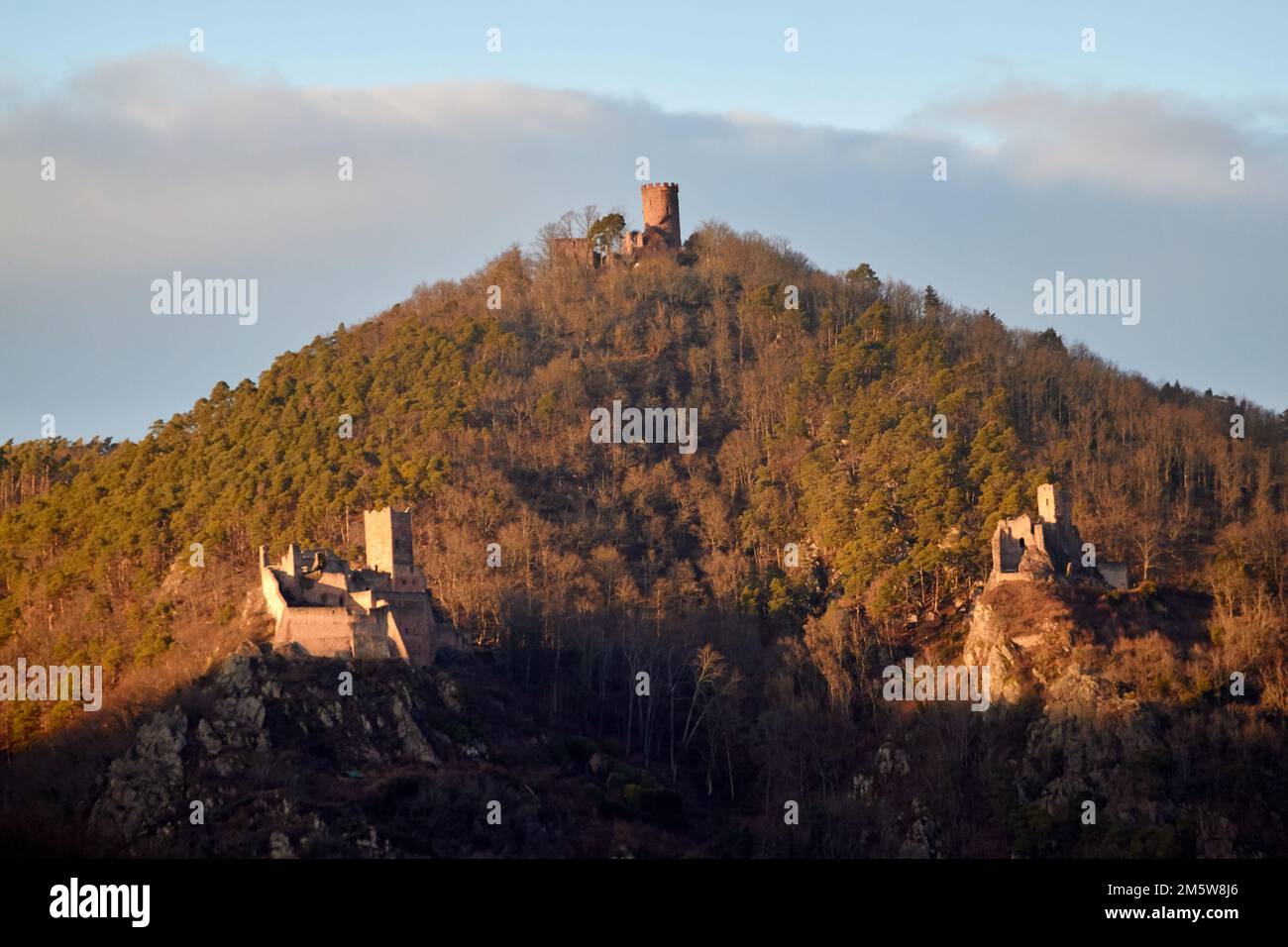 Vue depuis Hunawihr des trois châteaux de Ribeauvillé, Alsace, France Banque D'Images