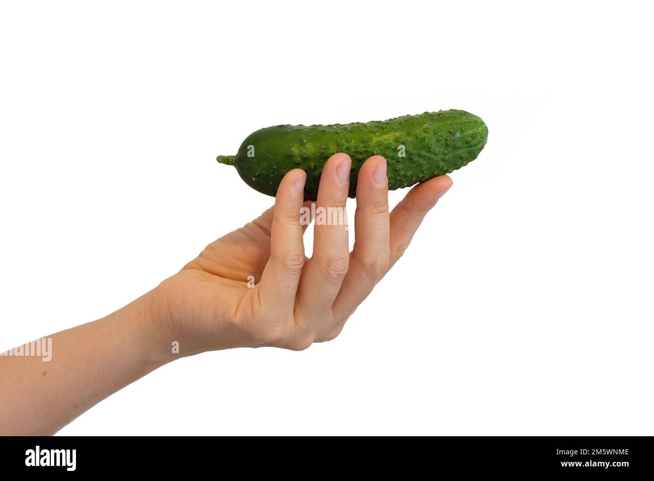 Jeune femme tenant un concombre. Légumes verts savoureux à la main. Alimentation saine. Ingrédients naturels pour les plats et la salade. Photo isolée sur bac blanc Banque D'Images