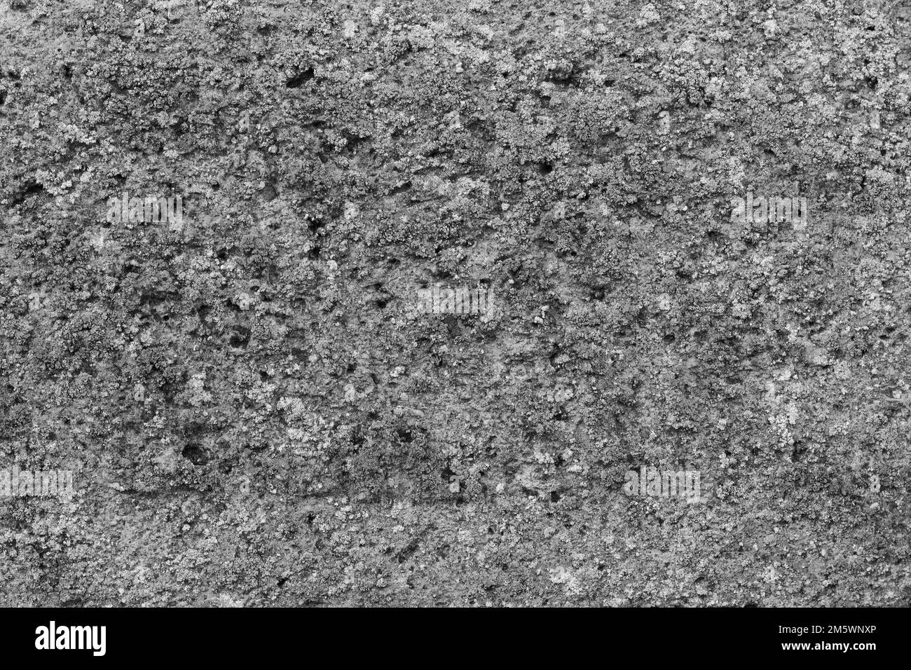 Texture brique pierre. Surface dure. Arrière-plan abstrait. Gros plan noir et blanc Banque D'Images