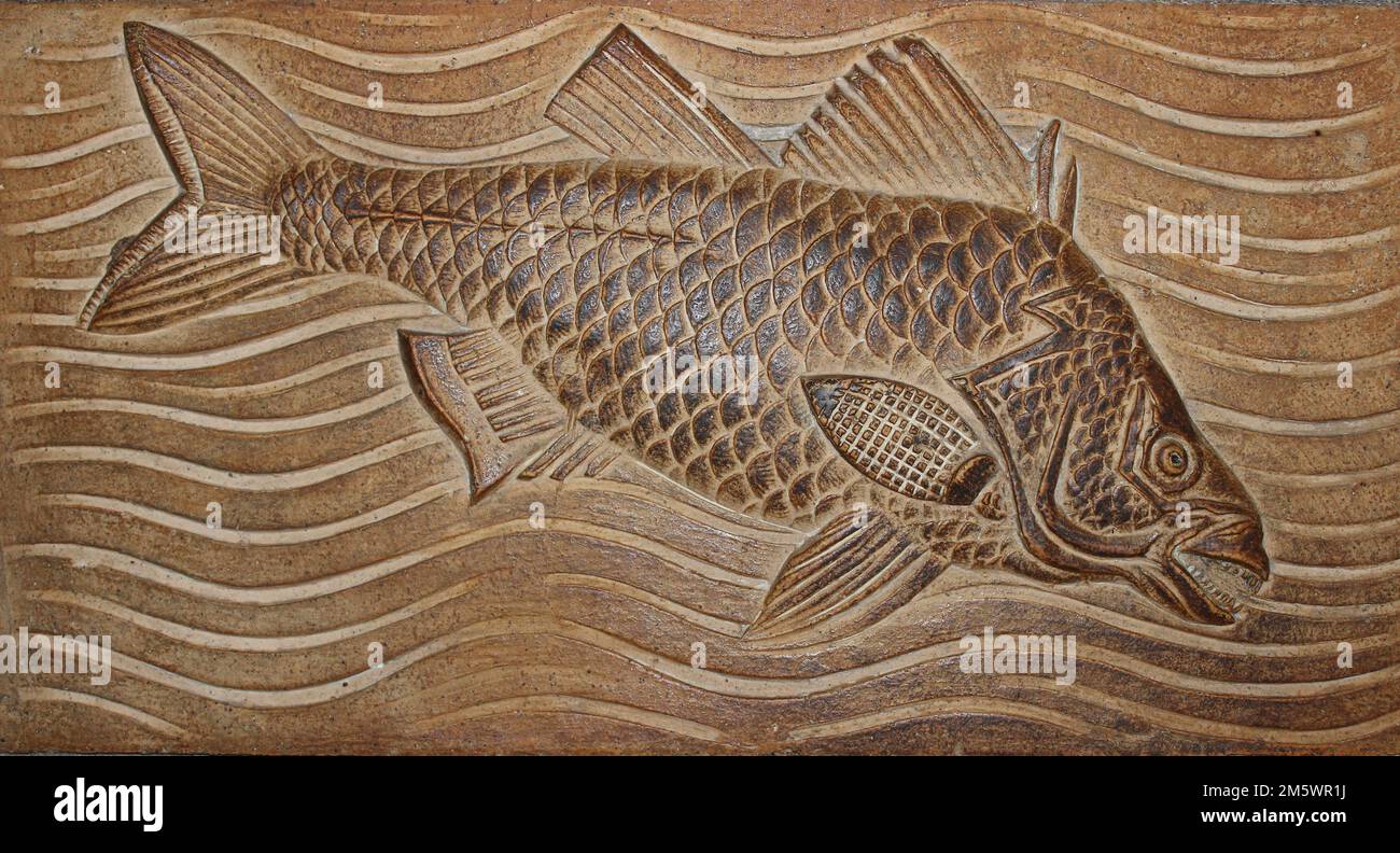 Poisson fossilisé Pierre de sculpture Musée d'histoire naturelle de Londres Banque D'Images