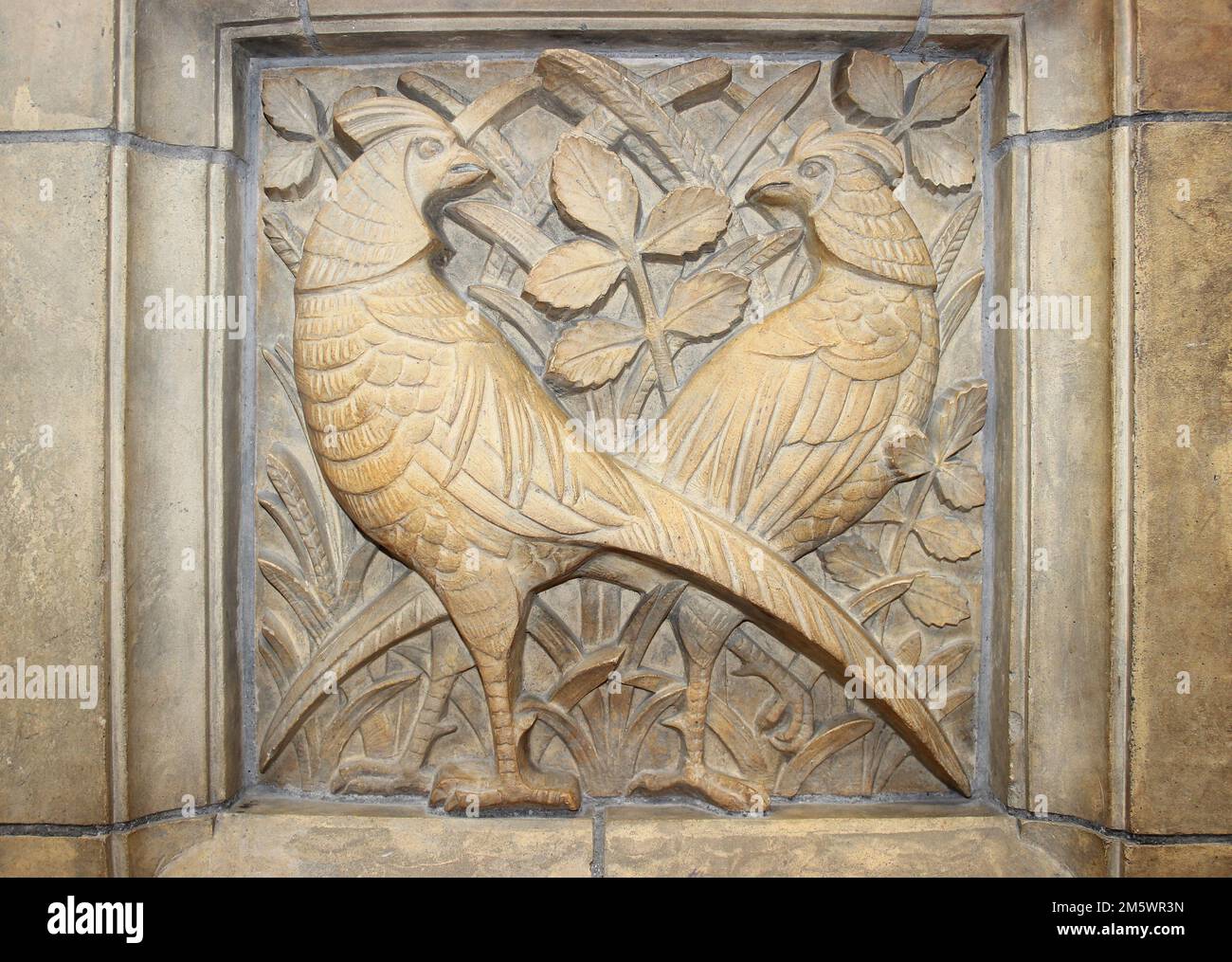Panneau sculpté en pierre d'Une paire de faisans - Musée d'histoire naturelle, Londres Banque D'Images