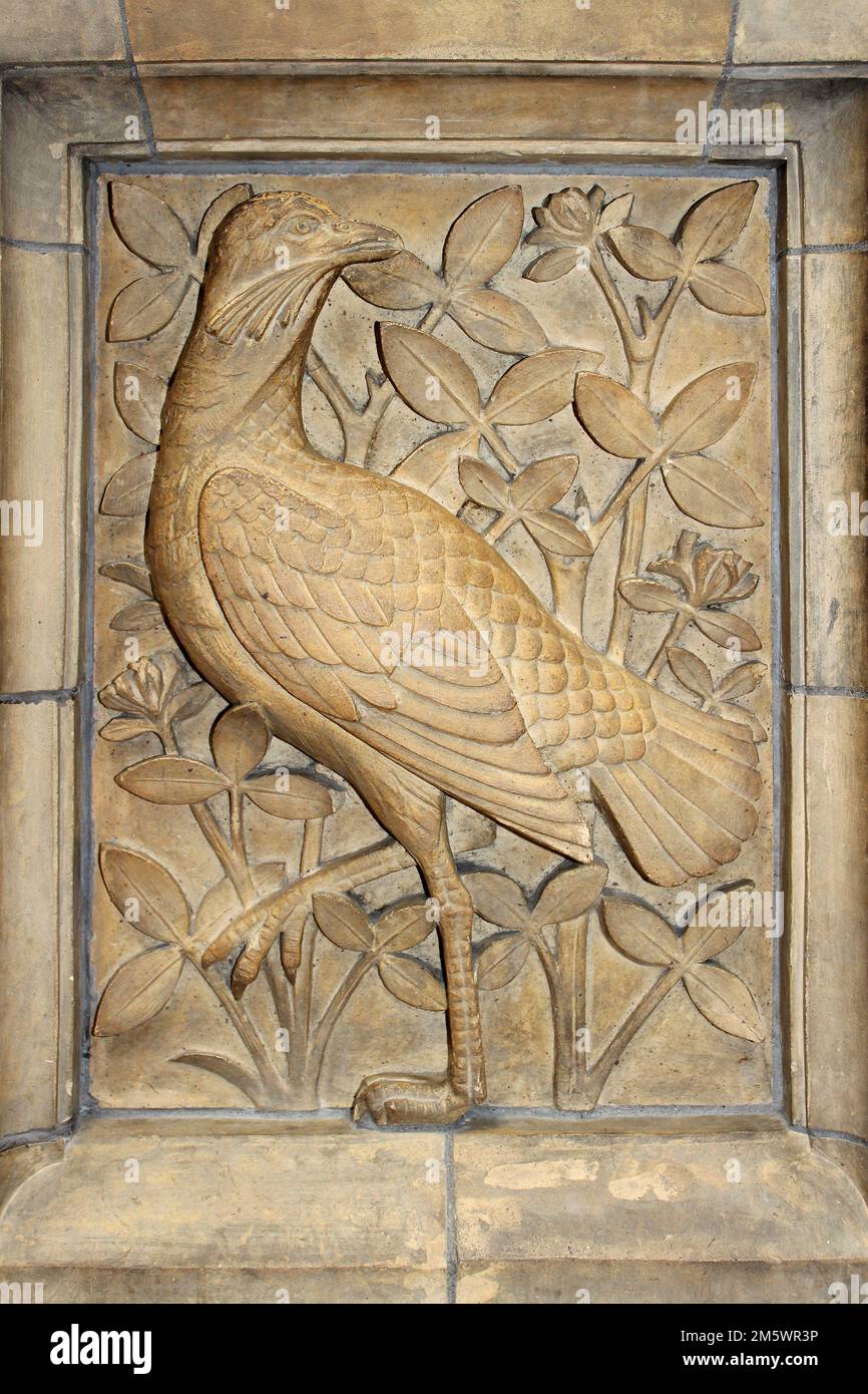 Panneau sculpté en pierre d'Un oiseau - probablement Un faisan - Musée d'histoire naturelle, Londres Banque D'Images
