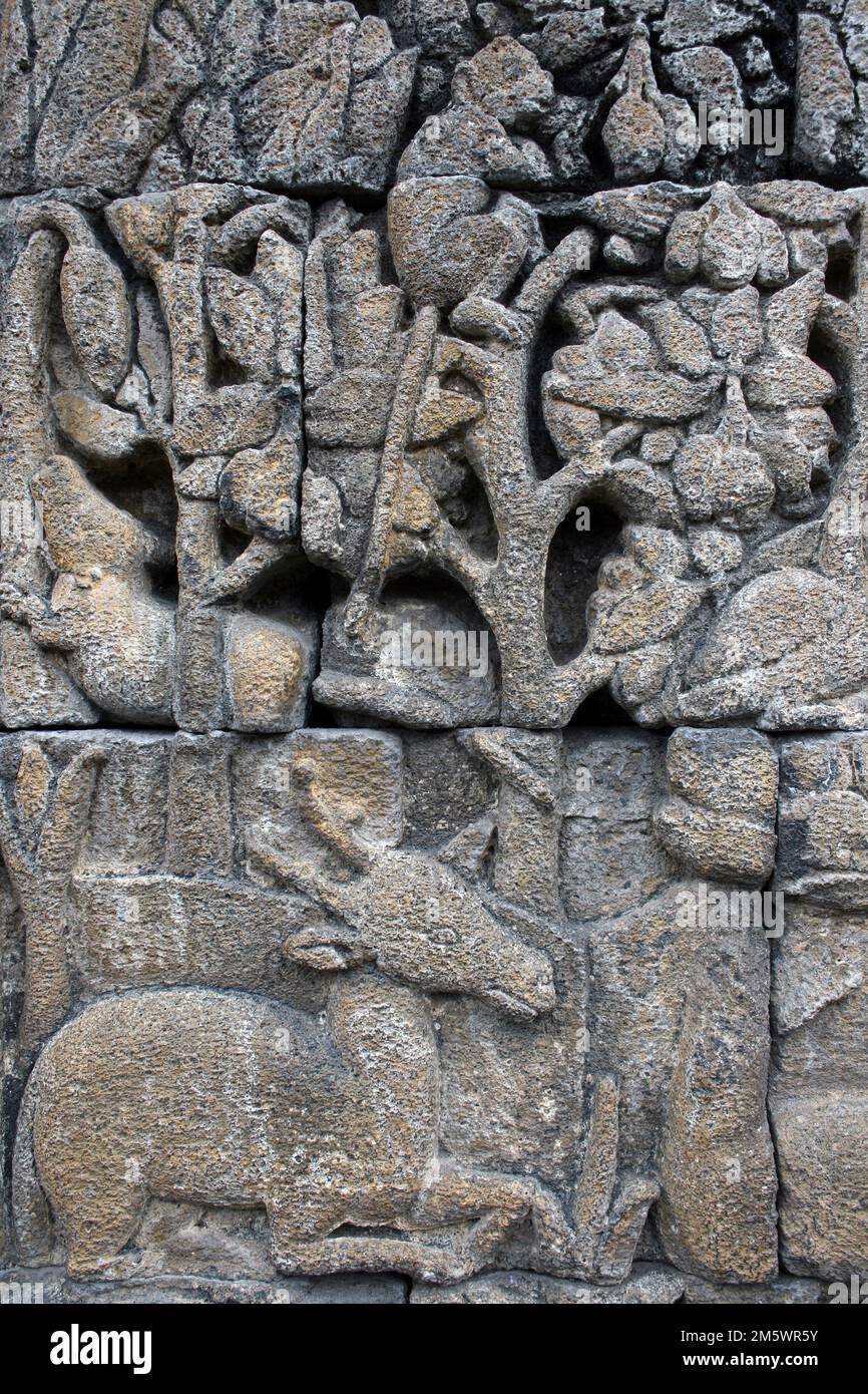 Cerf en pierre sculptant sous Un arbre avec singe - Temple Borobudur, Java Banque D'Images