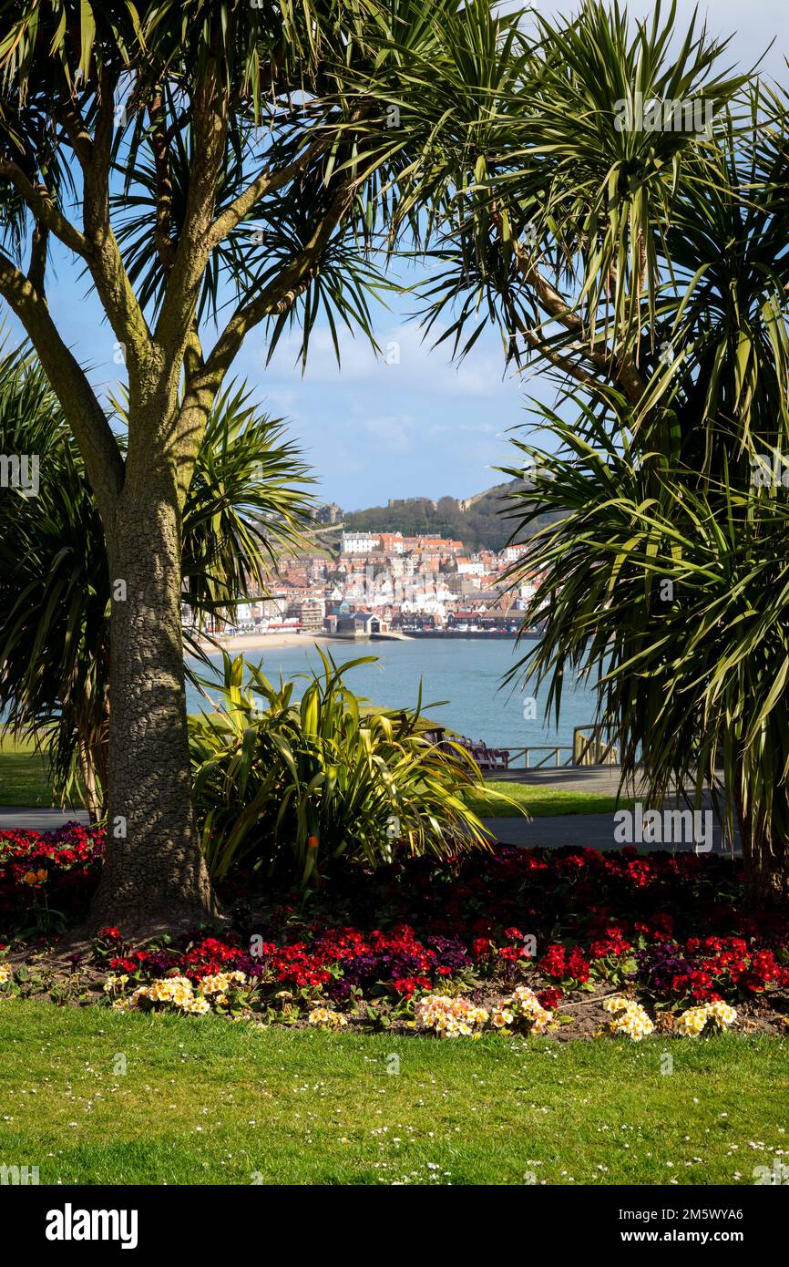 Scarborough Coast, Scarborough, Angleterre, Royaume-Uni Banque D'Images