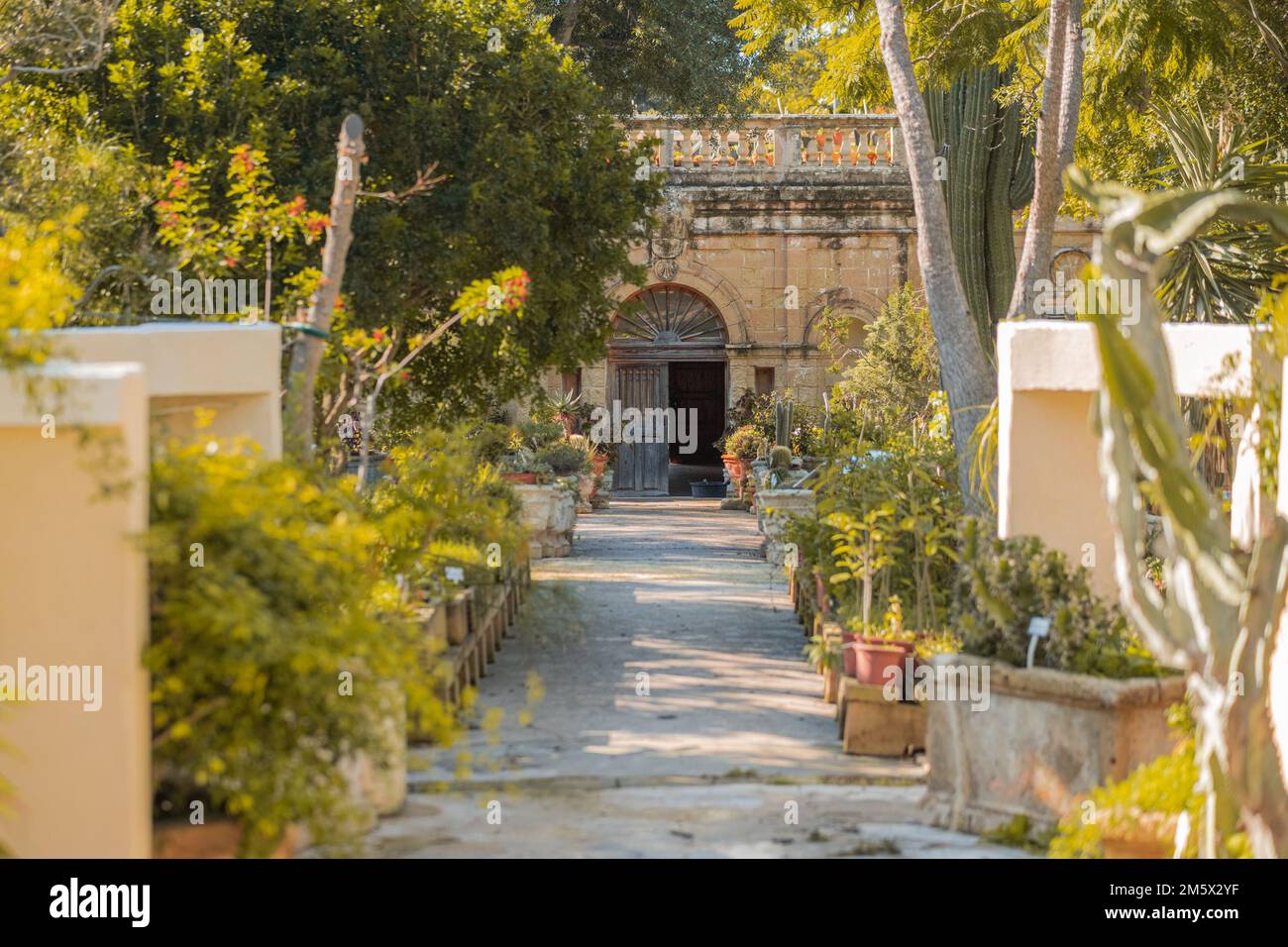 Jardins universitaires d'Argotti à la Valette, Malte, par une journée ensoleillée. Vue sur une rangée de plantes et un bâtiment avec portes à l'arrière. Banque D'Images