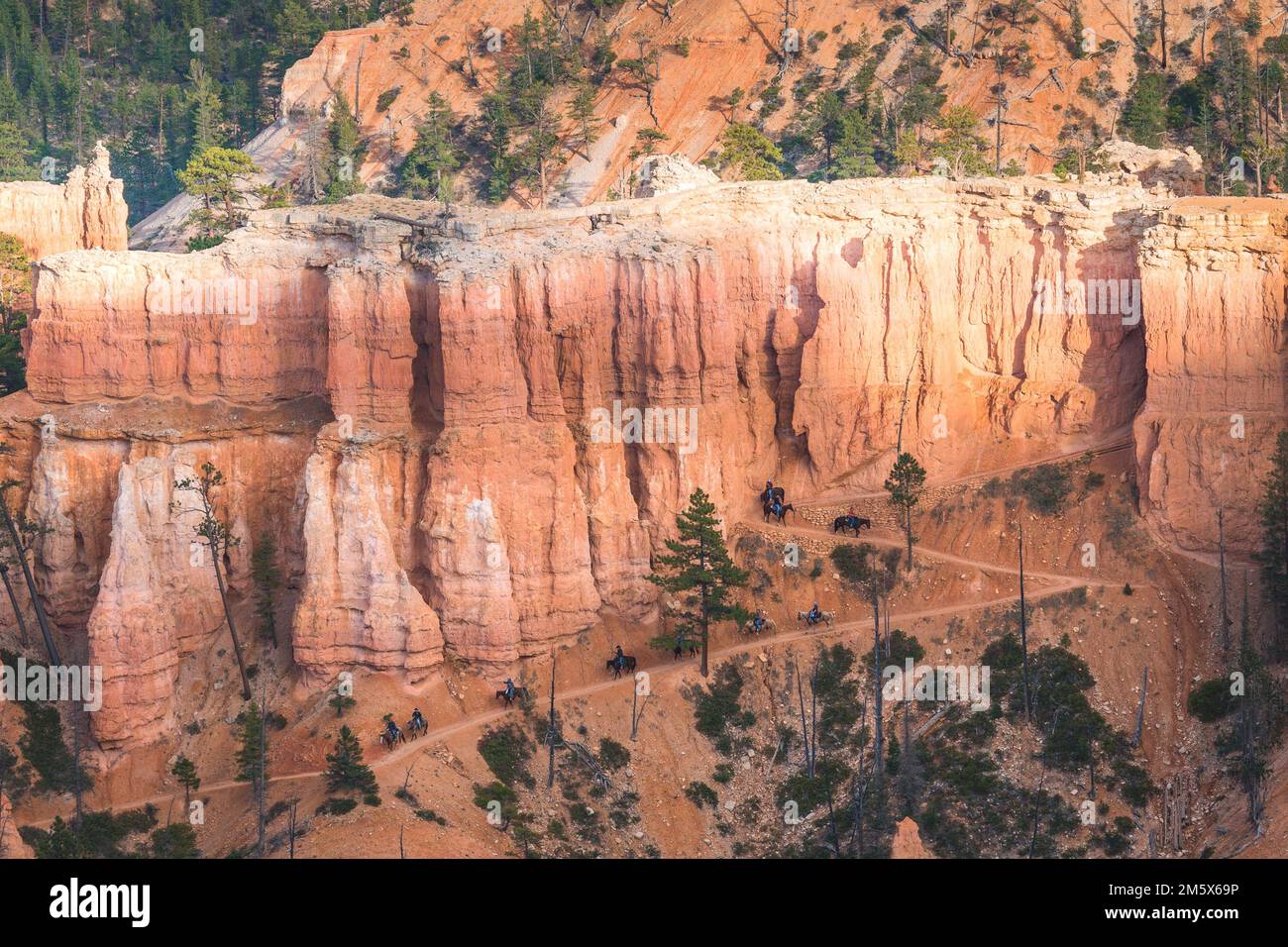 cowboys descendant dans le canyon de bryce au lever du soleil Banque D'Images
