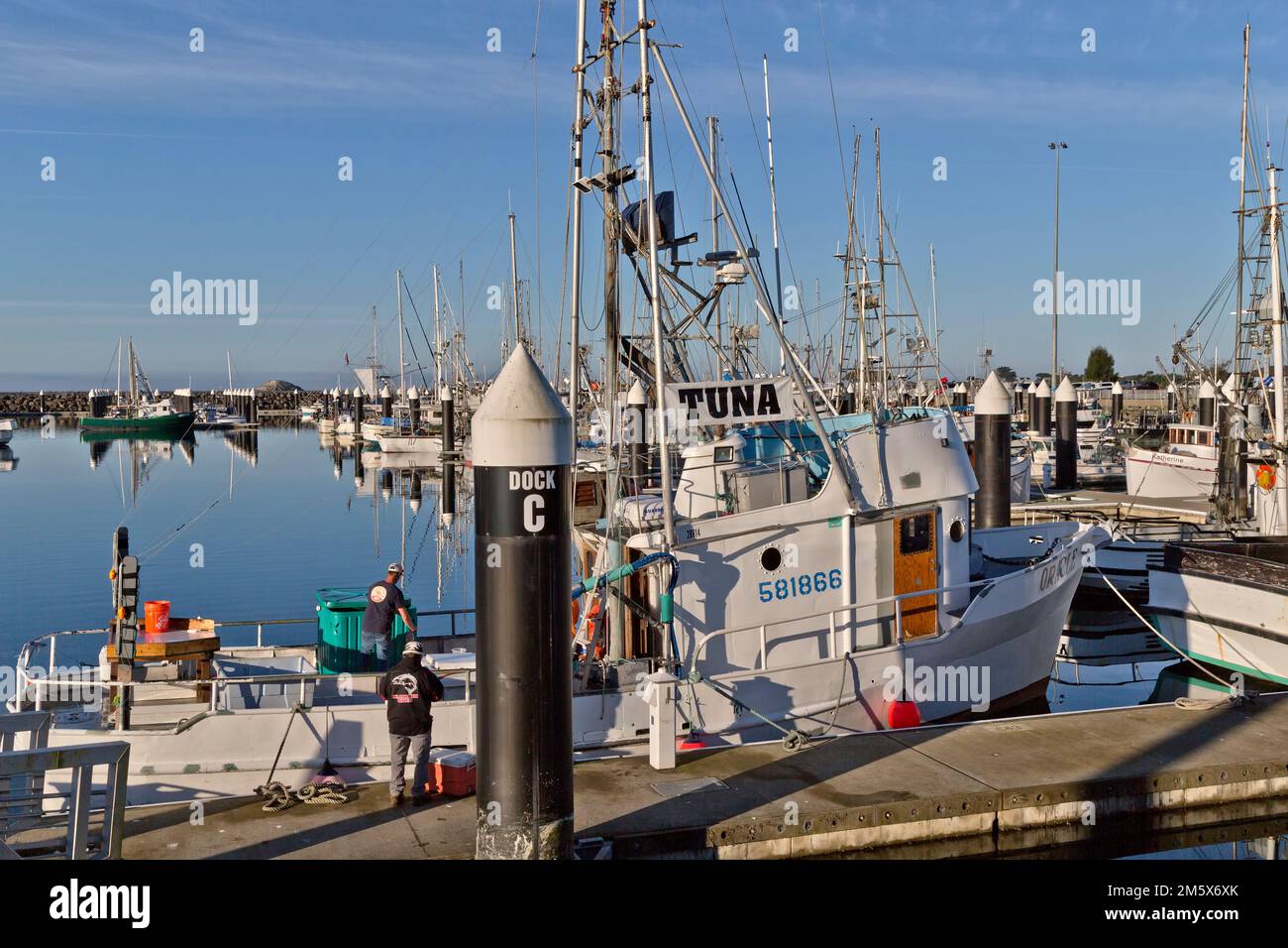 Bateaux de pêche amarrés dans le port de Crescent City, quai d'Oracle 'C', pêcheurs faisant la promotion de 'Tpass' à la vente 'Thunnus alalunga', thon Albacore. Banque D'Images