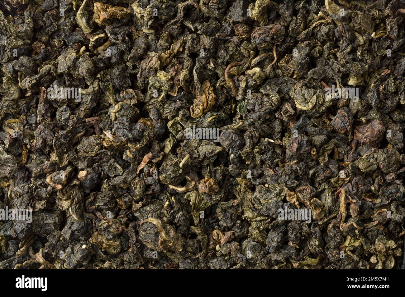 Chinois Ti Kuan Yin thé oolong bio feuilles de thé séchées gros plan plein cadre comme arrière-plan Banque D'Images