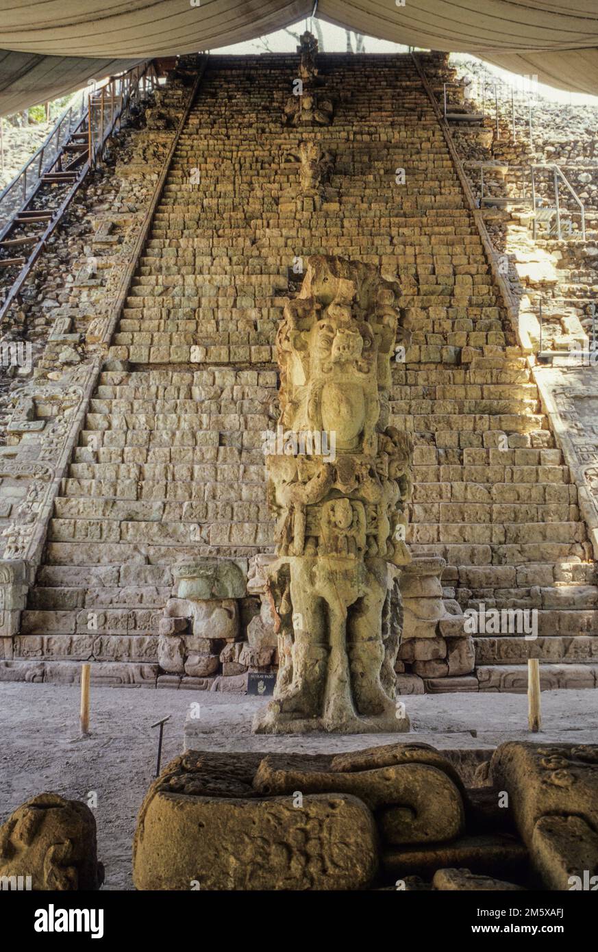 Les ruines de Copan, Honduras. Stella M en face de l'escalier hiéroglyphique, fumée Règle Shell. Banque D'Images