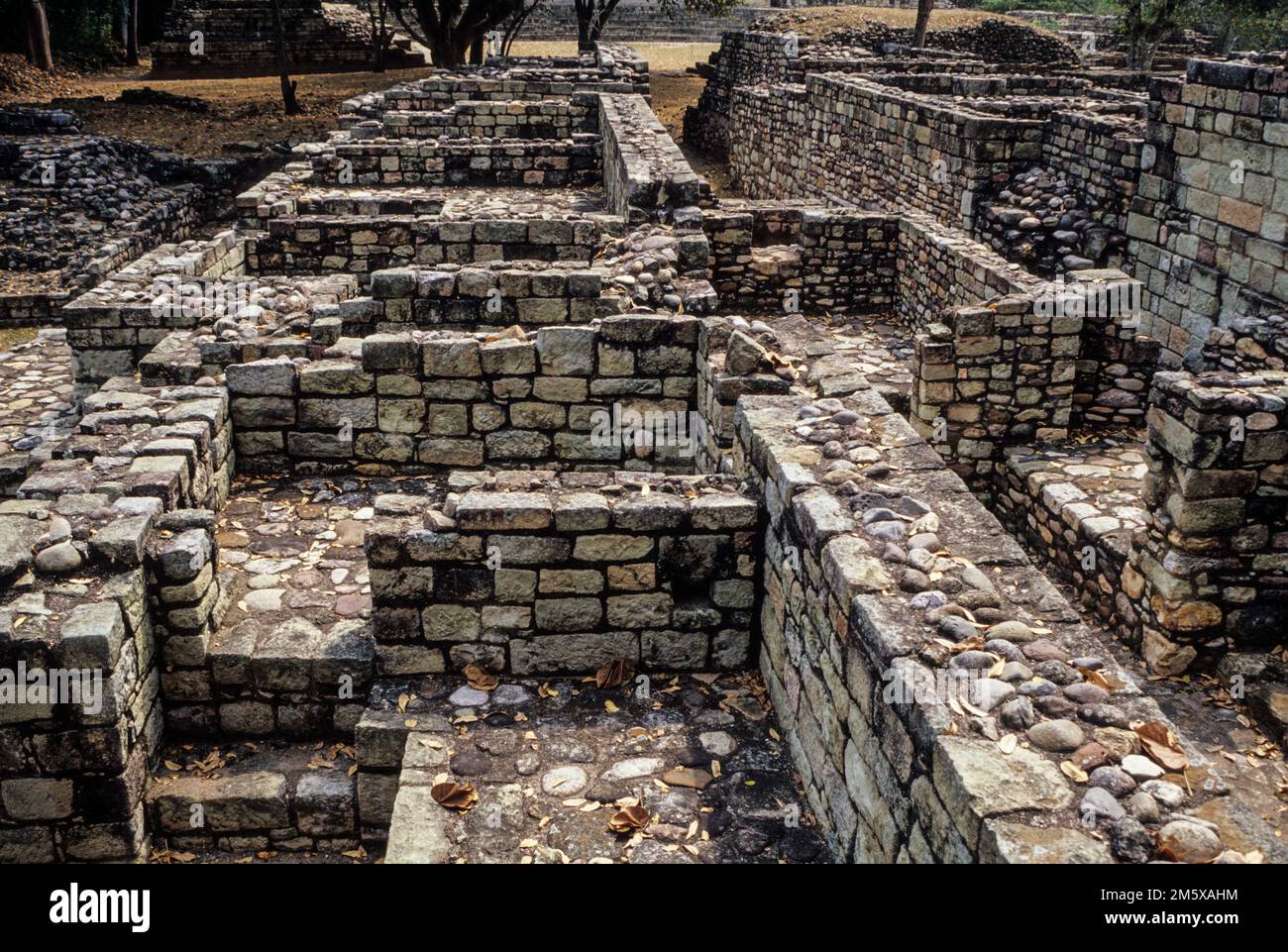 Les ruines de Copan, Honduras. Décrit des maisons des riches. Banque D'Images