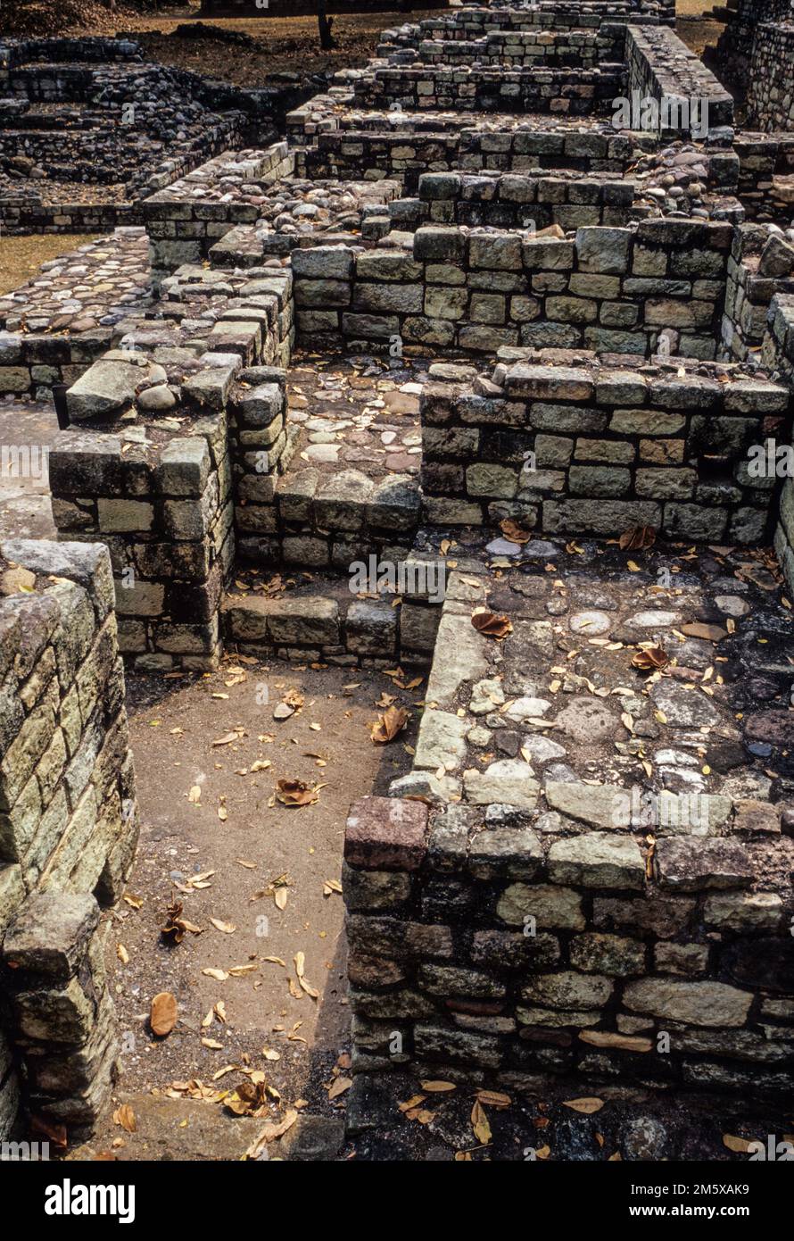 Les ruines de Copan, Honduras. Décrit des maisons des riches. Banque D'Images