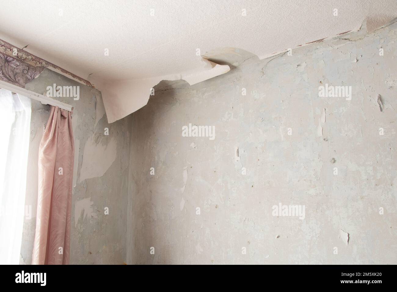 retirer le vieux papier peint du mur dans une pièce d'un immeuble résidentiel, en réaménageant un appartement Banque D'Images