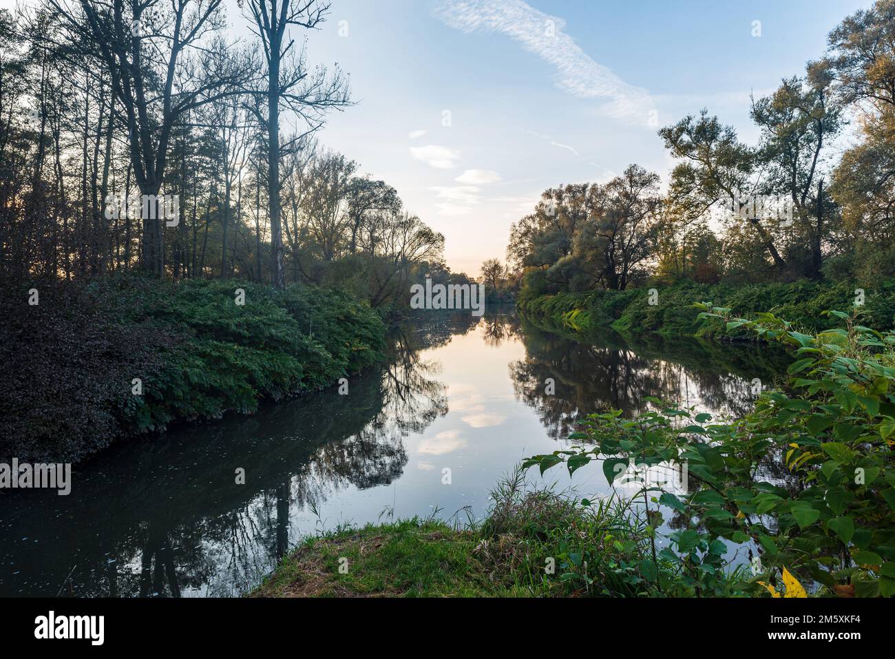 Jonction des rivières Olse et Stonavka dans la ville de Karvina en République tchèque avec des arbres pendant la belle après-midi d'automne Banque D'Images