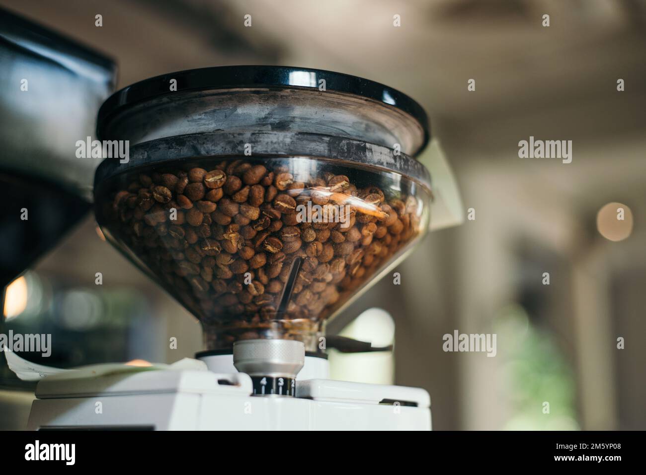 Gros plan des grains de café dans le moulin à café Banque D'Images