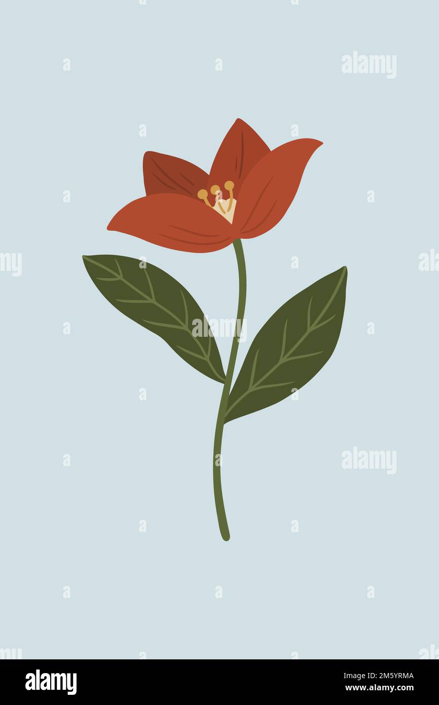 Botanique rouge sur fond bleu vecteur Illustration de Vecteur