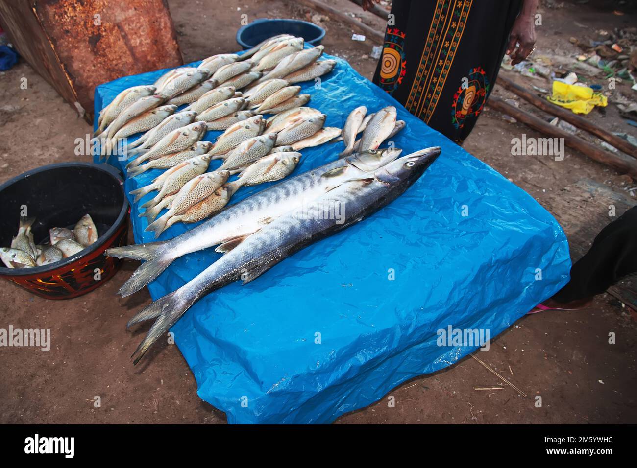 Pêchez sur le marché local du port fluvial à Ziguinchor, Sénégal du Sud, Afrique de l'Ouest Banque D'Images