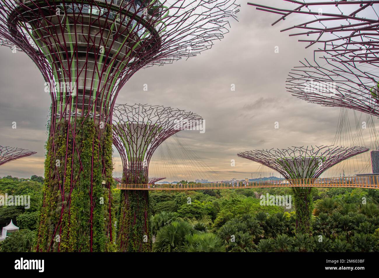 Singapour, Singapour 30 août 2022, The OCBC Skyway à Singapour Banque D'Images