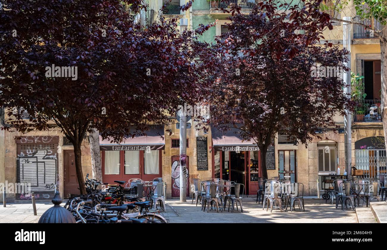 Bar terrasse dans le quartier El Born, Barcelone, Catalogne, Espagne Banque D'Images