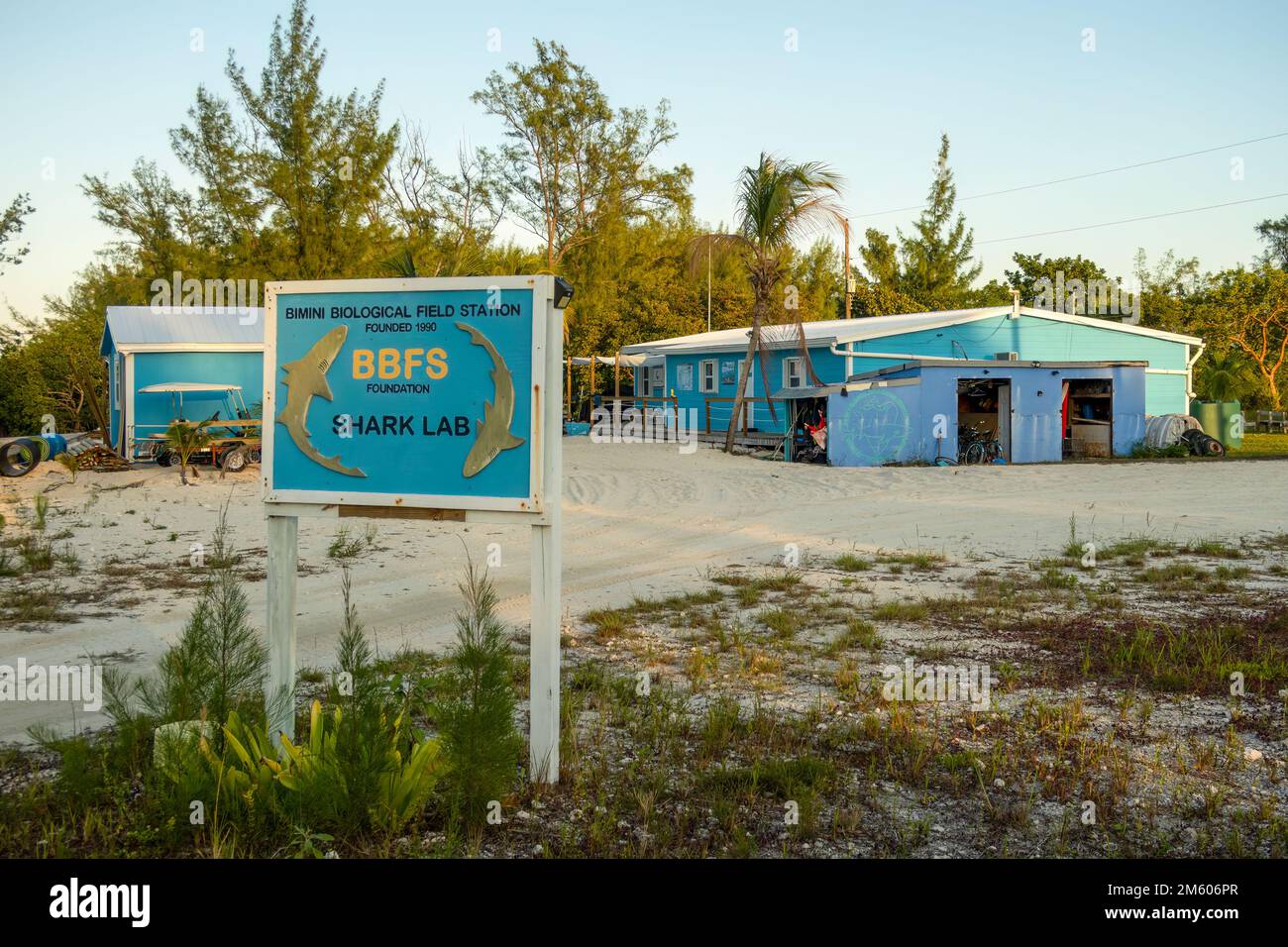 L'installation de recherche de requins de la station de terrain biologique Bimini, au sud de la Bimini, aux Bahamas Banque D'Images