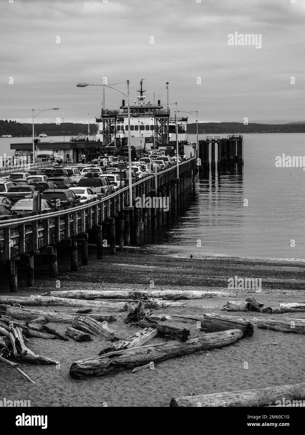 Un shtoto vertical du terminal de ferry de Fauntleroy avec des voitures d'attente. Noir et blanc Banque D'Images