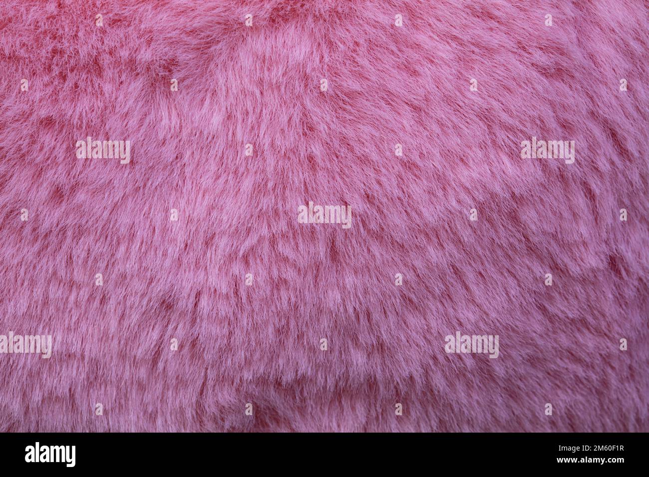toile de fond texturée en velours rose pour le design Banque D'Images