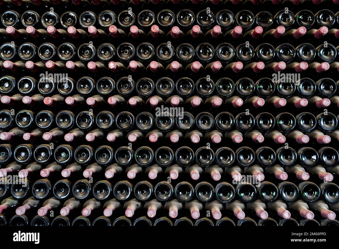 Beaucoup de bouteilles dans une rangée empilée sur une étagère de cave de vinification, Lanzarote, Espagne Banque D'Images
