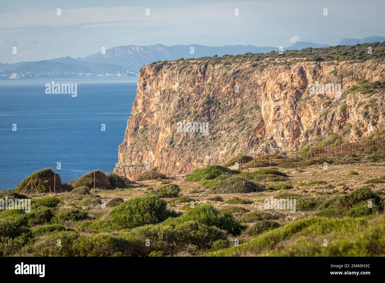 Vue sur les falaises au sud de Majorque, près de sa Torre, Majorque, Espagne Banque D'Images