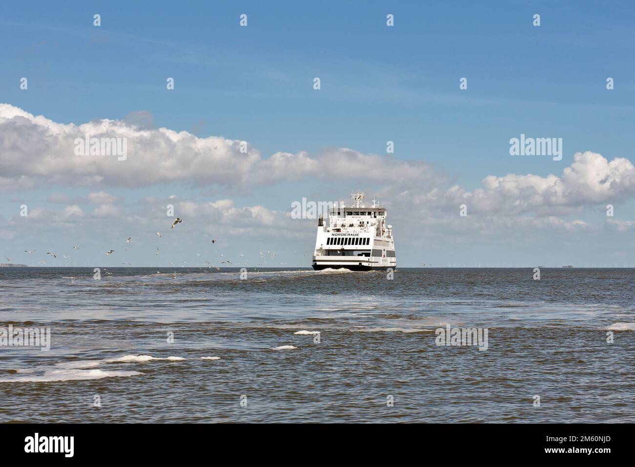 Ferry Norderaue de la compagnie maritime W. D. R. Schleswig-Holstein Parc national de la Mer des Wadden, Frise du Nord, Schleswig-Holstein, Allemagne Banque D'Images