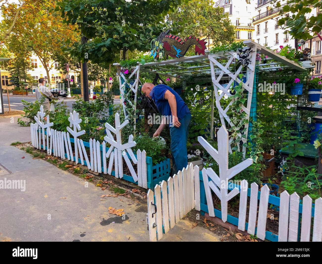 Paris, France, homme jardinage dans les jardins communautaires publics français sur scène de rue, White Picket Fence, dans le 12ème arrondissement Banque D'Images