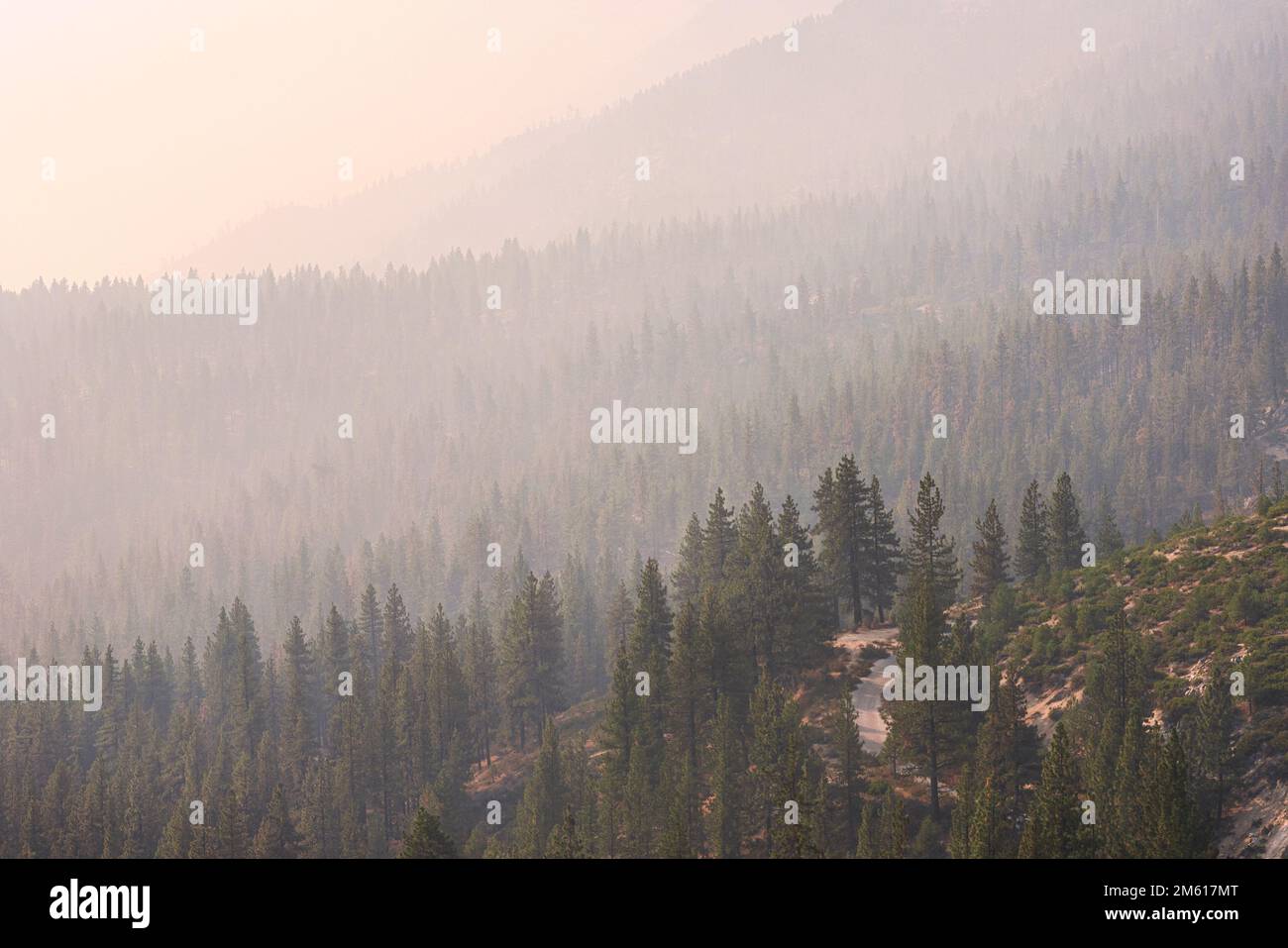 Forêt et montagnes protégées par la fumée au lever du soleil en septembre 2022 Banque D'Images