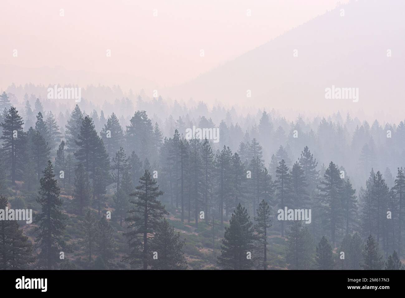 Forêt et montagnes protégées par la fumée au lever du soleil en septembre 2022 Banque D'Images