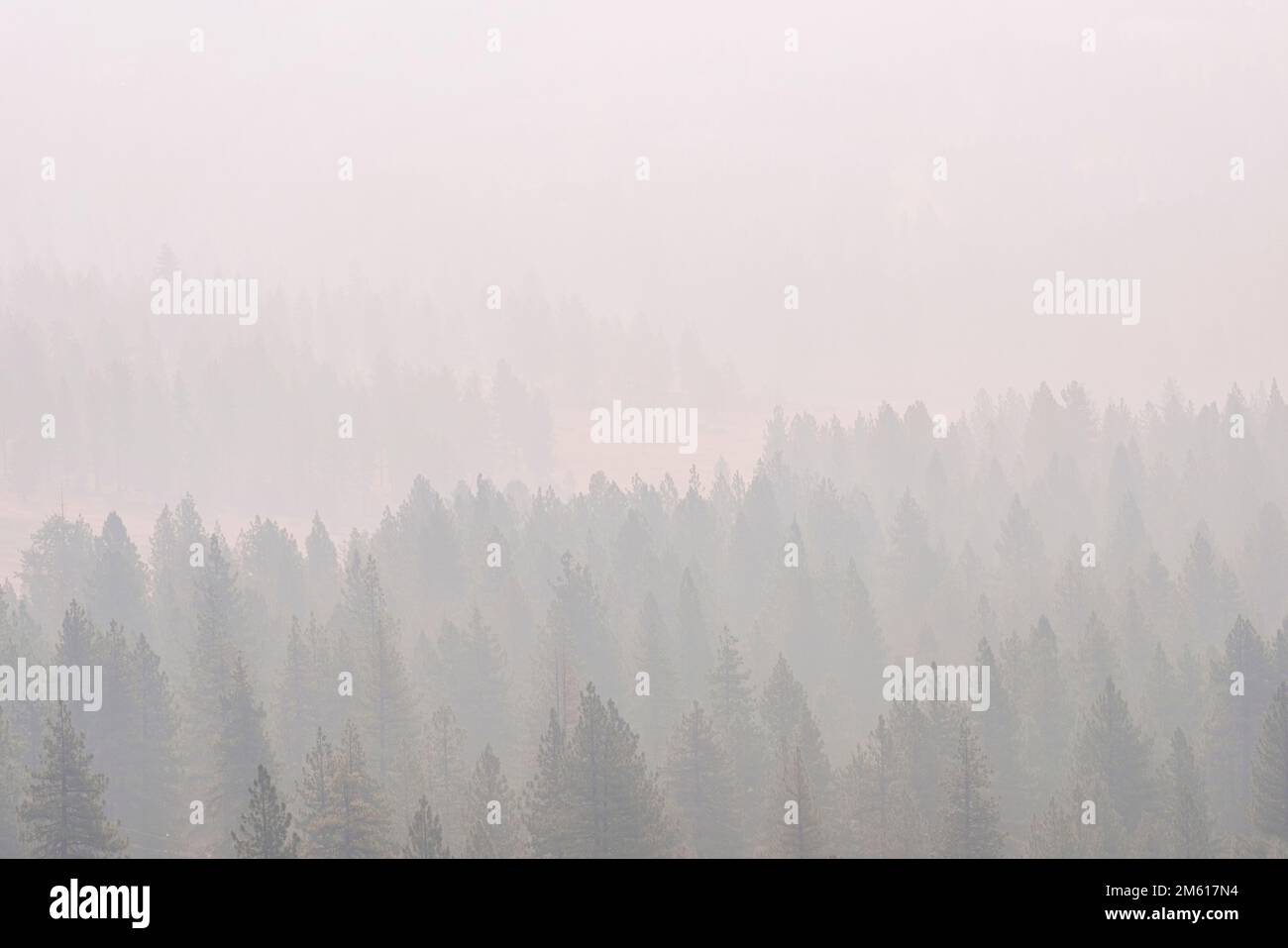 Forêt et montagnes protégées par la fumée au lever du soleil en septembre 2022 Banque D'Images